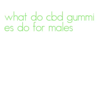 what do cbd gummies do for males